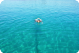 Swimming at Slatinica anchorage off the island of Olib: photo by Zoran Pelikan